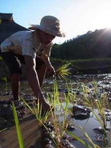 Kamu Lodge Explore Laos