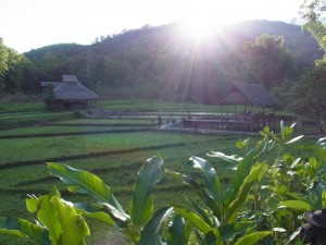 Kamu Lodge Explorer Tour